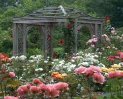You can admire artwork in numerous sculptures standing in the sculpture garden or can admire the beauty of different roses in the garden.